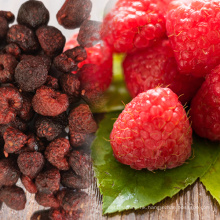 quality dried sugar-infused raspberry